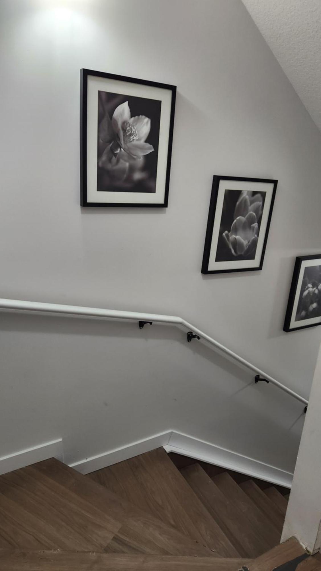 Modern 2 Bedroom Basement Suite At West Едмънтън Екстериор снимка